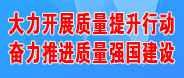 大力开展质量提升行动
奋力推进质量强国建设